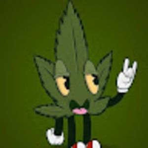 Meet your Posher, Devin